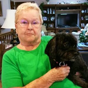 Meet your Posher, Dorothy